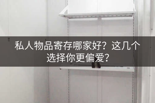 私人物品寄存哪家好?这几个选择你更偏爱? 私人物品寄存哪家好?这几个选择你更偏爱?