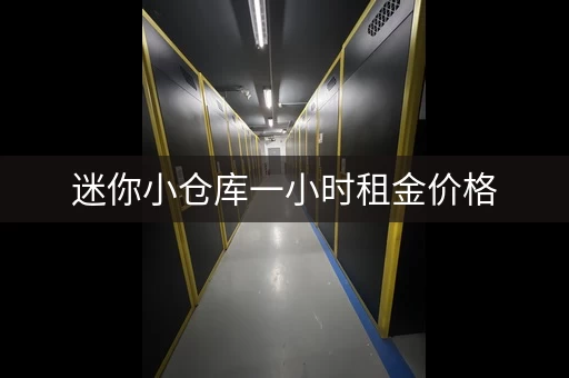 迷你小仓库一小时租金价格