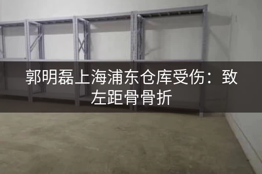 郭明磊上海浦东仓库受伤:致左距骨骨折 郭明磊上海浦东仓库受伤:致左距骨骨折