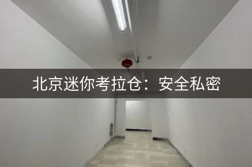 北京迷你考拉仓:安全私密,温湿度控制 北京迷你考拉仓:安全私密,温湿度控制