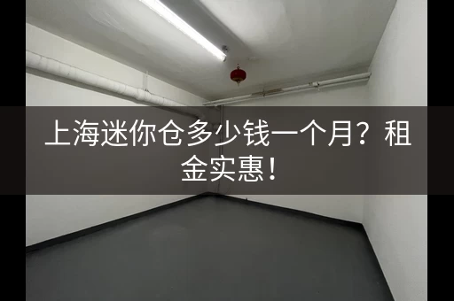 上海迷你仓多少钱一个月?租金实惠! 上海迷你仓多少钱一个月?租金实惠!
