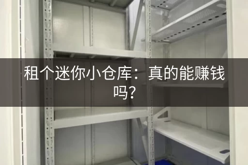租个迷你小仓库：真的能赚钱吗？