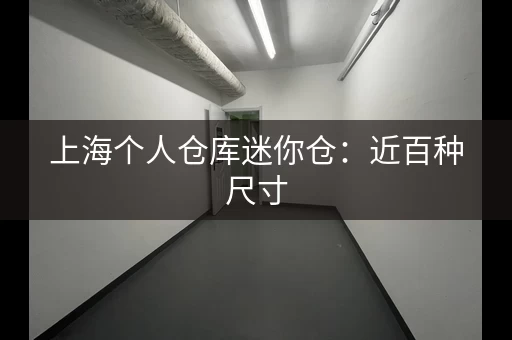 上海个人仓库迷你仓：近百种尺寸，满足各种需求