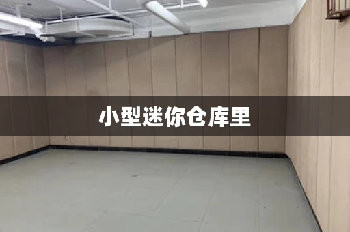 小型迷你仓库里，堆砌着我的人生财富