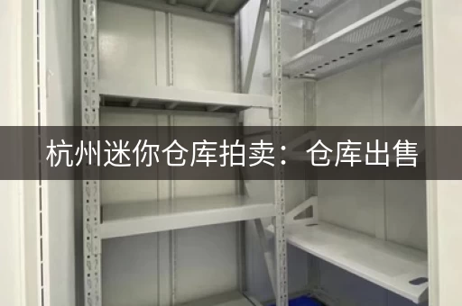杭州迷你仓库拍卖：仓库出售，价格优惠