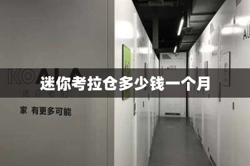 迷你考拉仓多少钱一个月