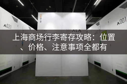 上海商场行李寄存攻略：位置、价格、注意事项全都有