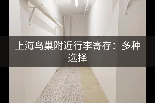 上海鸟巢附近行李寄存：多种选择，价格实惠