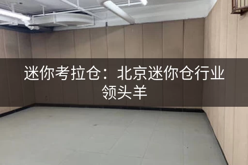 迷你考拉仓：北京迷你仓行业领头羊