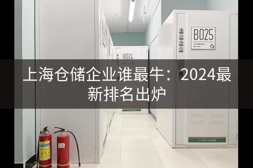 上海仓储企业谁最牛：2024最新排名出炉