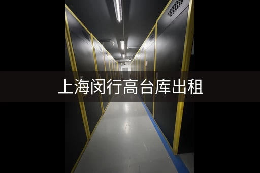 上海闵行高台库出租，层高10米，可分租