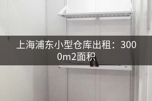 上海浦东小型仓库出租：3000m2面积，各类货都可存
