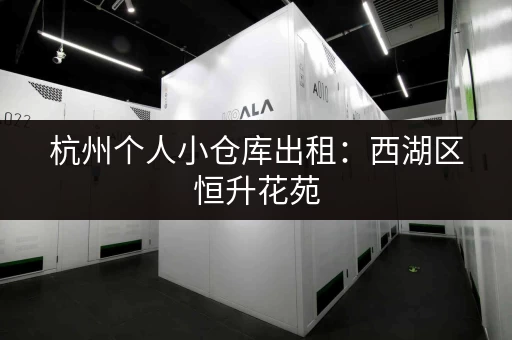 杭州个人小仓库出租：西湖区恒升花苑，27平地下室小仓库可分租！