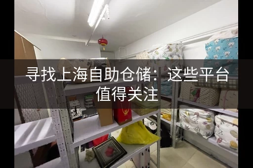 寻找上海自助仓储：这些平台值得关注