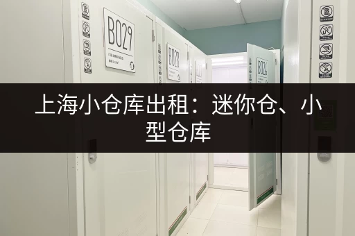 上海小仓库出租：迷你仓、小型仓库，任你选择！