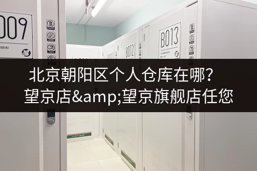 北京朝阳区个人仓库在哪？  望京店&望京旗舰店任您选择