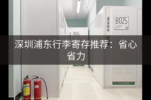 深圳浦东行李寄存推荐：省心省力，安心游玩
