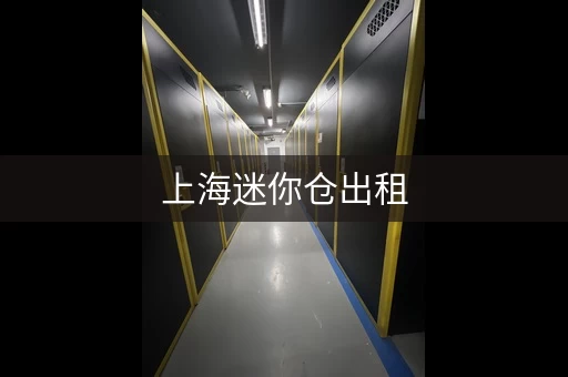 上海迷你仓出租，个人家庭企业都适用