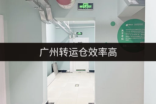 广州转运仓效率高，实时调度，应对高峰期
