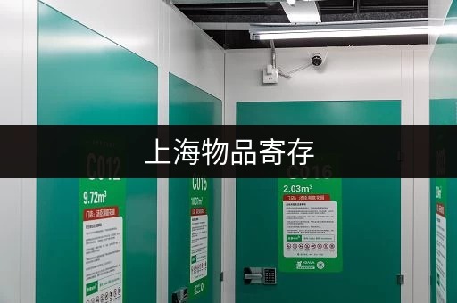 上海物品寄存，让你玩得更轻松