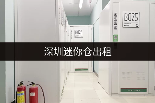 深圳迷你仓出租，每月多少钱合适？