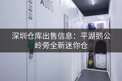 深圳仓库出售信息：平湖鹅公岭旁全新迷你仓