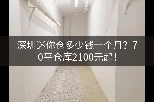 深圳迷你仓多少钱一个月？70平仓库2100元起！