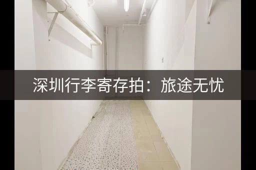 深圳行李寄存拍：旅途无忧，寄存更轻松