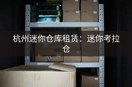 杭州迷你仓库租赁：迷你考拉仓，小件行李，老房家具，都能存放！