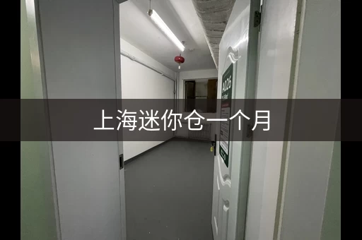 上海迷你仓一个月，物品存放超划算！