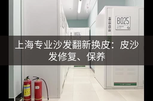 上海专业沙发翻新换皮：皮沙发修复、保养