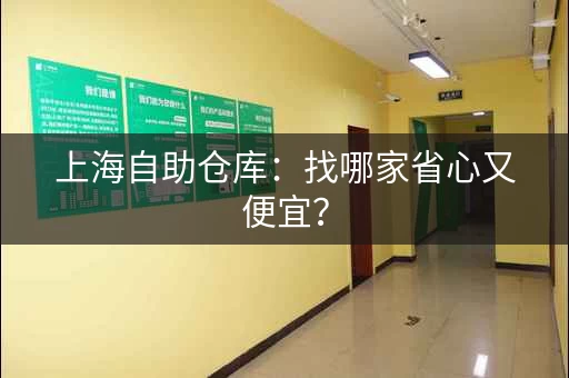 上海自助仓库：找哪家省心又便宜？