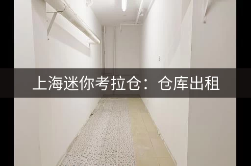 上海迷你考拉仓：仓库出租，价格透明，服务周到