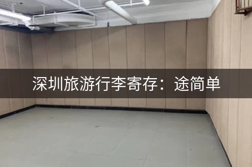 深圳旅游行李寄存：途简单，轻松出行无负担