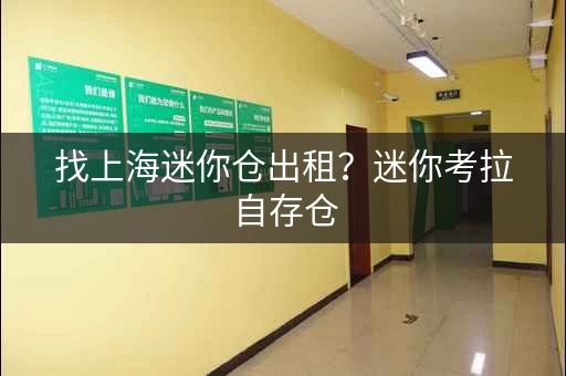 找上海迷你仓出租？迷你考拉自存仓，仓型多样