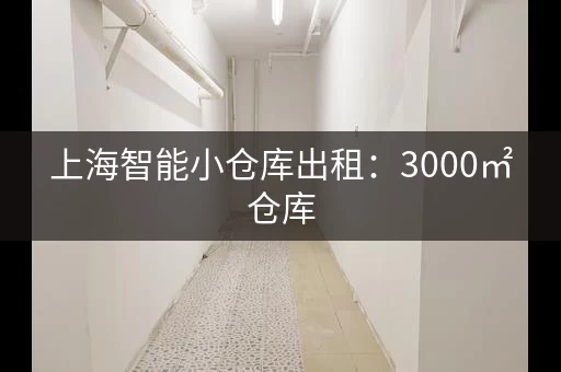 上海智能小仓库出租：3000㎡仓库，支持各类货物存储