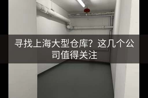 寻找上海大型仓库？这几个公司值得关注