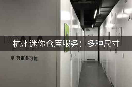 杭州迷你仓库服务：多种尺寸，满足需求