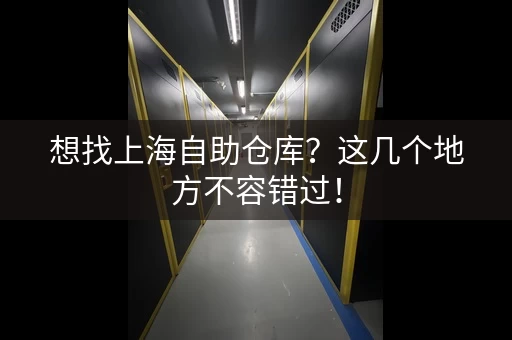 想找上海自助仓库？这几个地方不容错过！