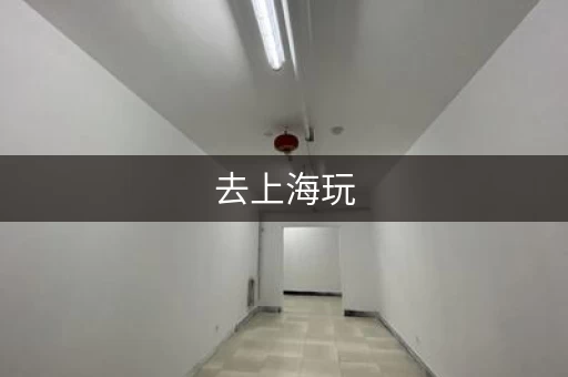 去上海玩，行李寄存哪里最方便？