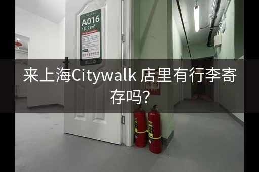 来上海Citywalk 店里有行李寄存吗？