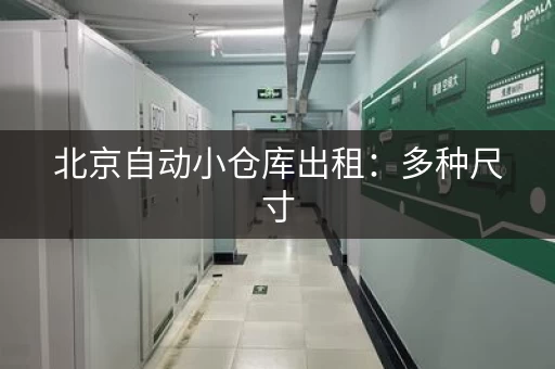 北京自动小仓库出租：多种尺寸，满足不同需求