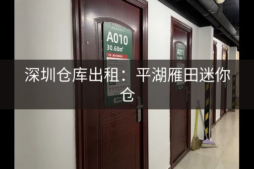 深圳仓库出租：平湖雁田迷你仓，1200元间，交通便利