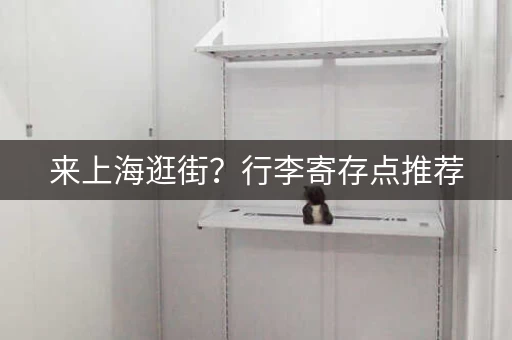 来上海逛街？行李寄存点推荐，轻装上阵