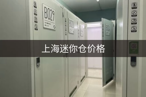 上海迷你仓价格，每月只要85元起