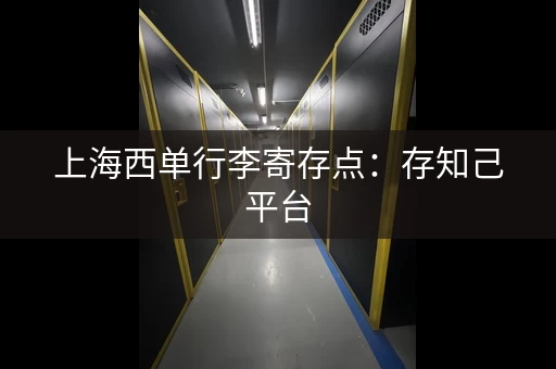 上海西单行李寄存点：存知己平台，快速查找