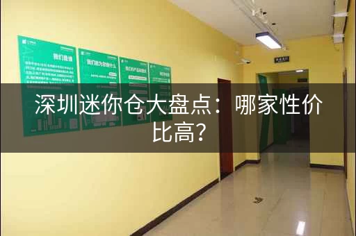 深圳迷你仓大盘点：哪家性价比高？