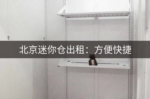 北京迷你仓出租：方便快捷，省心省力