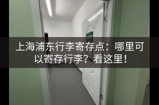 上海浦东行李寄存点：哪里可以寄存行李？看这里！