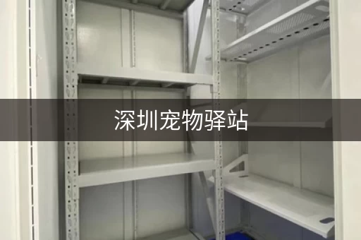 深圳宠物驿站，疫情期间，宠物也能安心寄养！